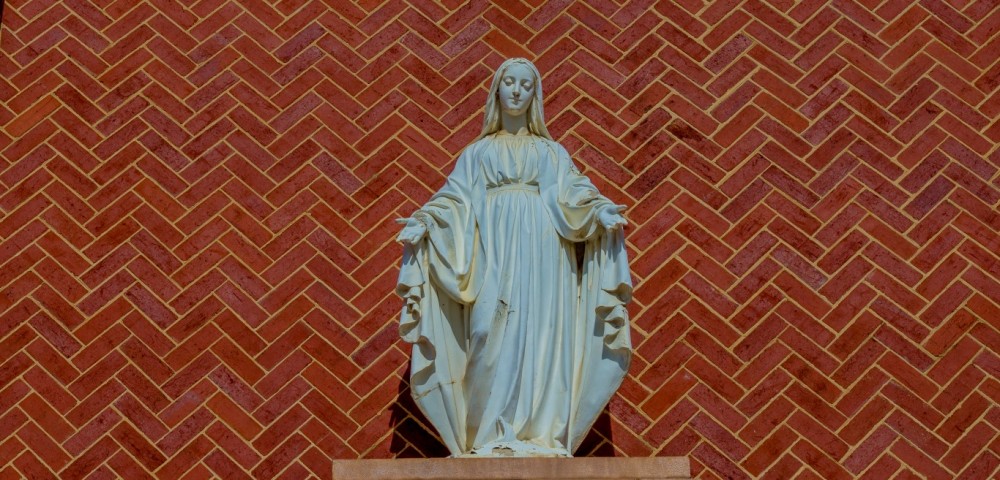 DSC_8719-1000x480.jpg