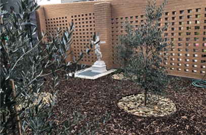 Memorial Garden.jpg
