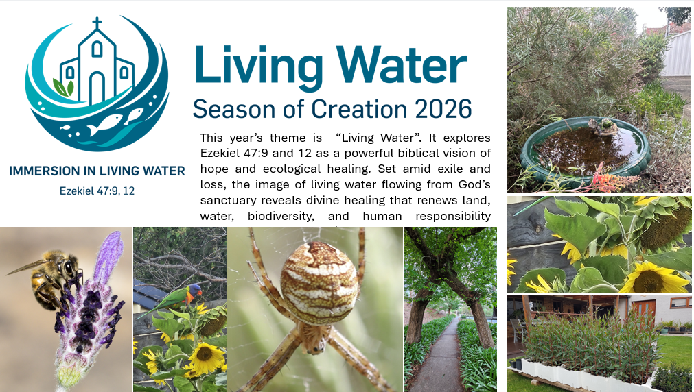 Season Of Creation 2026 - Display Image-2.png